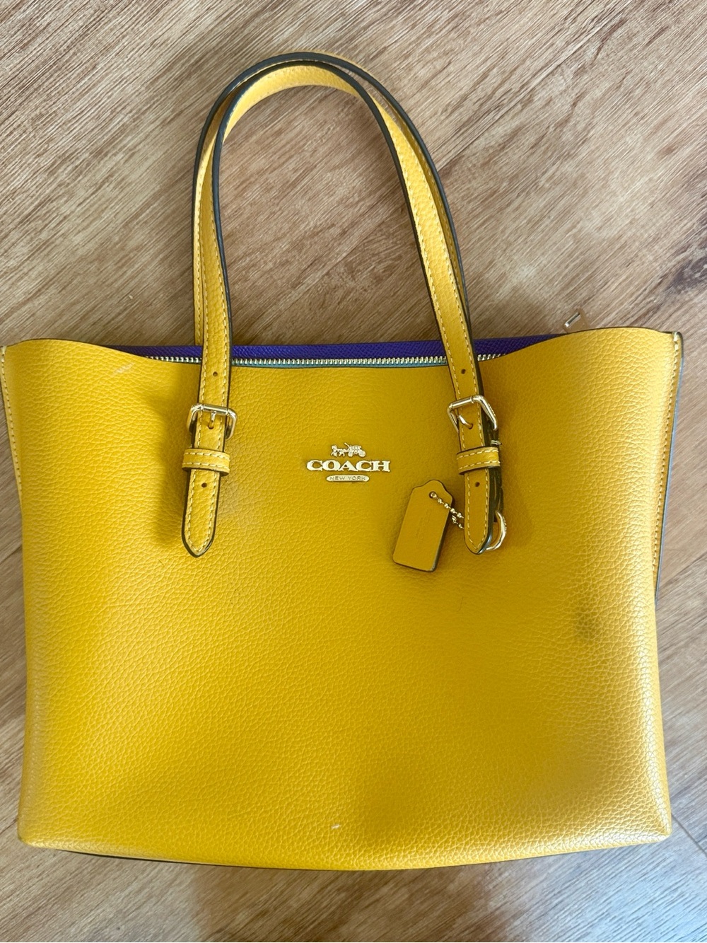 COACH Mollie Tote Bag 25